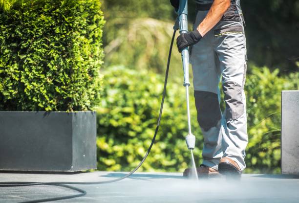 Best Pool Deck Cleaning  in Novato, CA