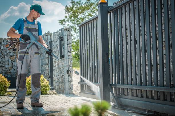 Best Sidewalk and Walkway Cleaning  in Novato, CA