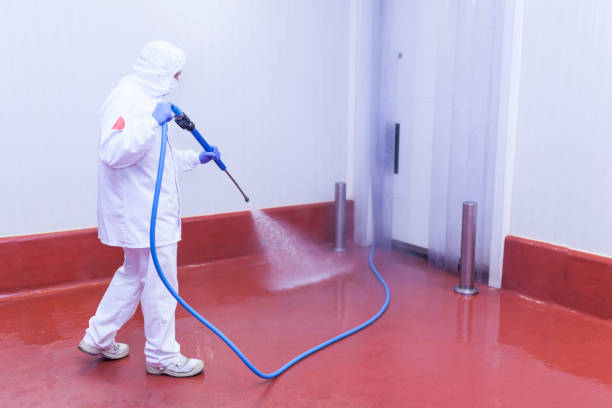 Best Parking Lot and Garage Cleaning  in Novato, CA