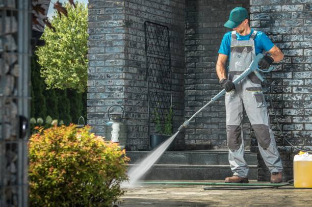 Best Graffiti Removal  in Novato, CA