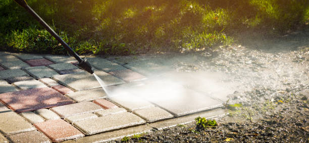 Animal Enclosure Cleaning in Novato, CA